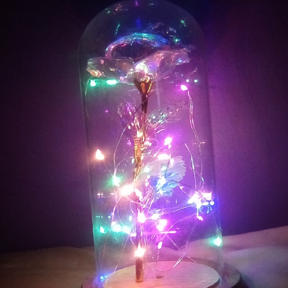 Enchanted LED Rose Dome - Multicolor